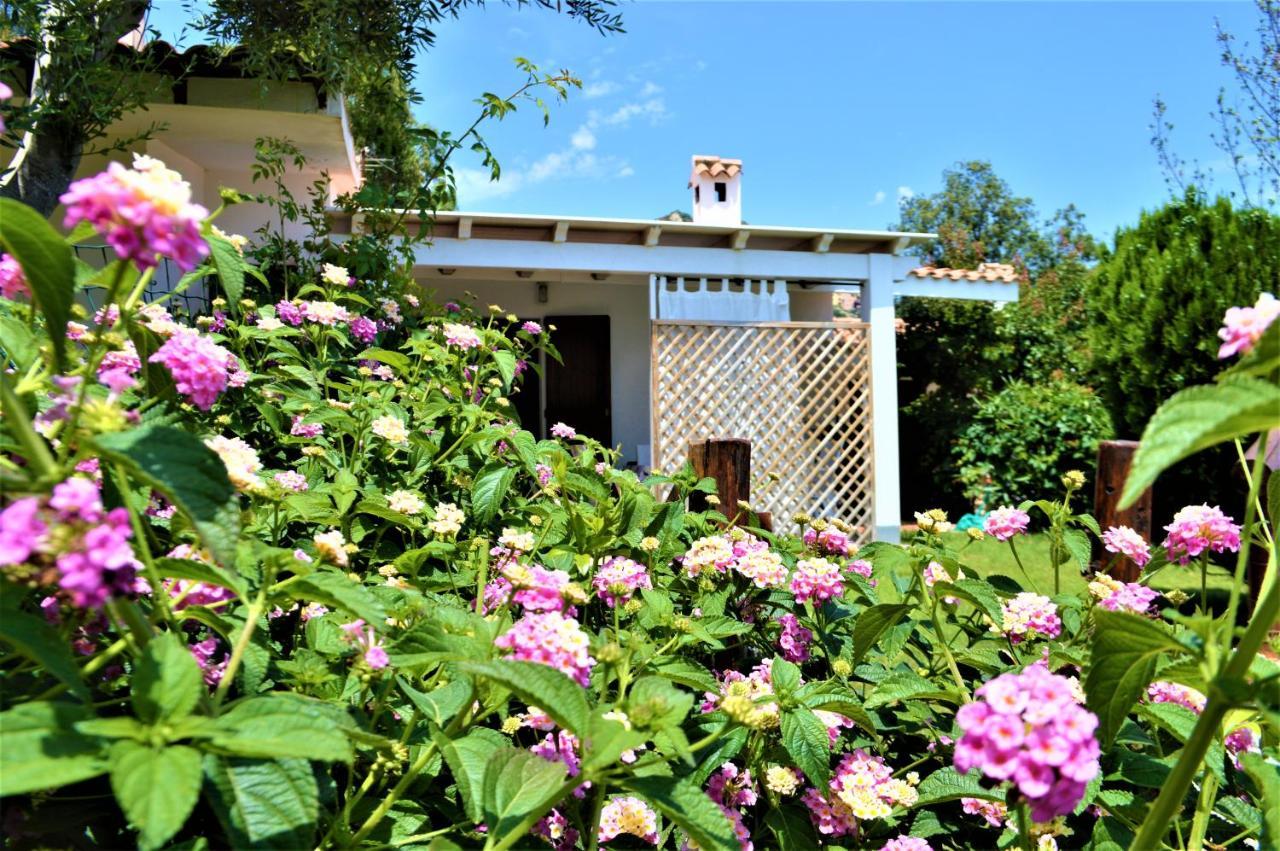 Nuova Valmar Trilo Mimosa Holiday home Costa Rei
